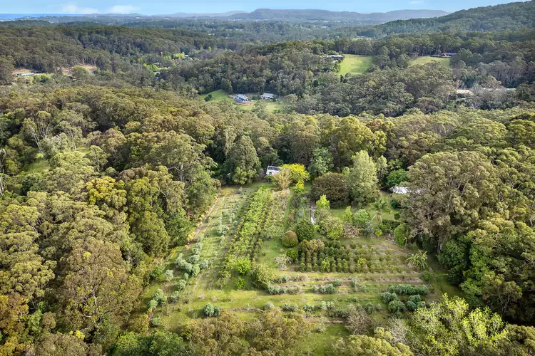 Fifth view of Homely rural property listing, 386 The Ridgeway, Lisarow NSW 2250