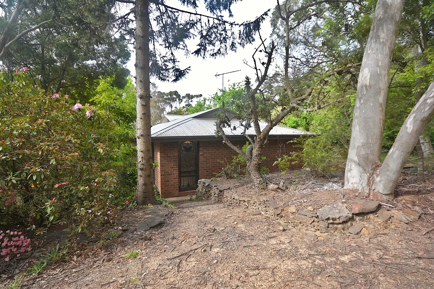 Main view of Homely house listing, 14 Nelson Road, Katoomba NSW 2780