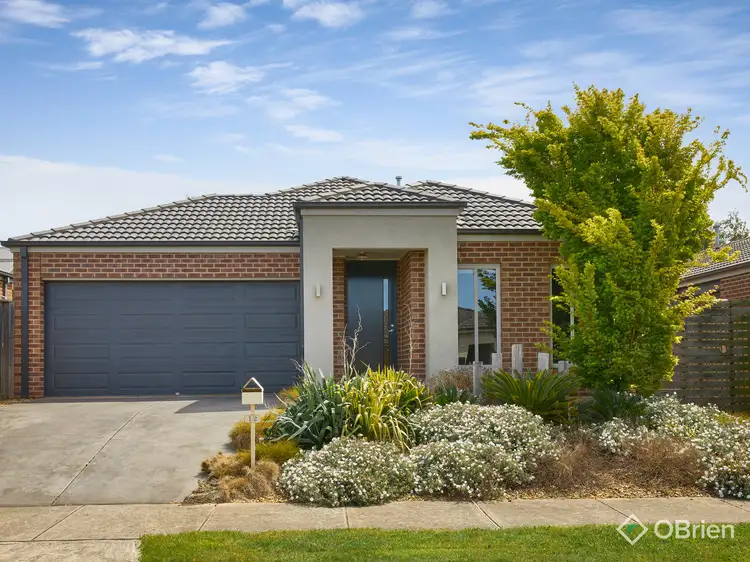 Main view of Homely house listing, 12 MacAllister Court, Warragul VIC 3820