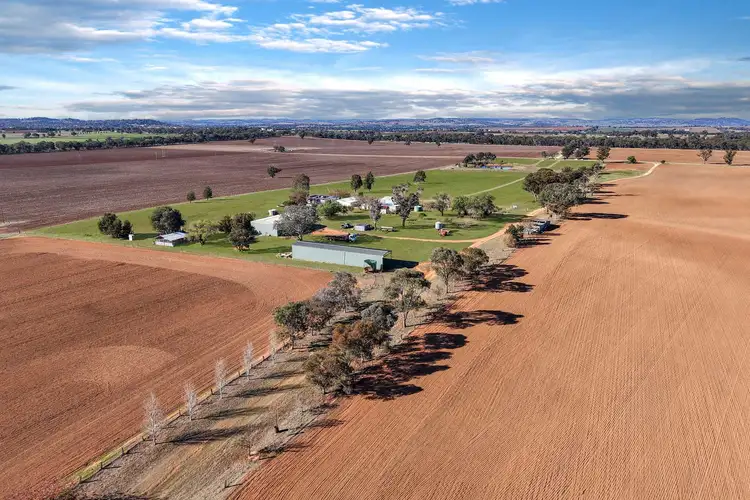 104 Selection Road, Cowra NSW 2794