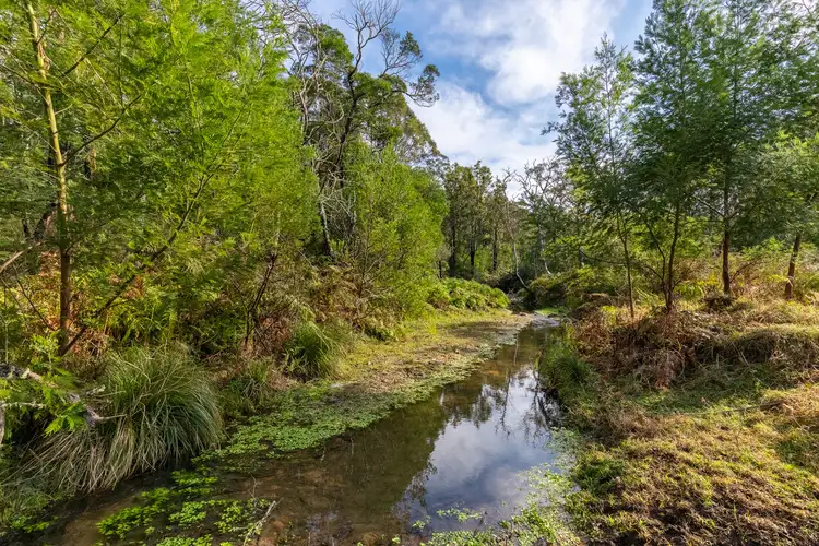 Fifth view of Homely rural property listing, 27 Yankees Gap Fire, Bemboka NSW 2550