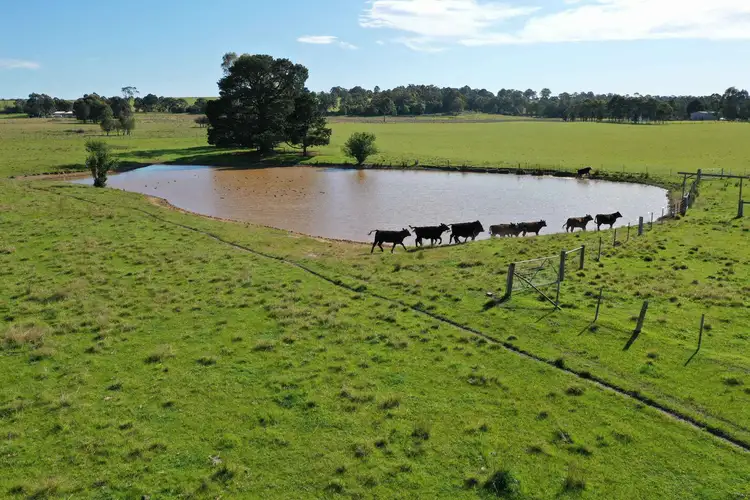 Sixth view of Homely rural property listing, 77 Commins Road, Lucknow VIC 3875