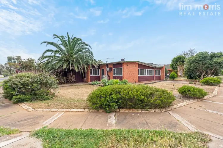 Main view of Homely house listing, 29 Berberis Street, Elizabeth Vale SA 5112