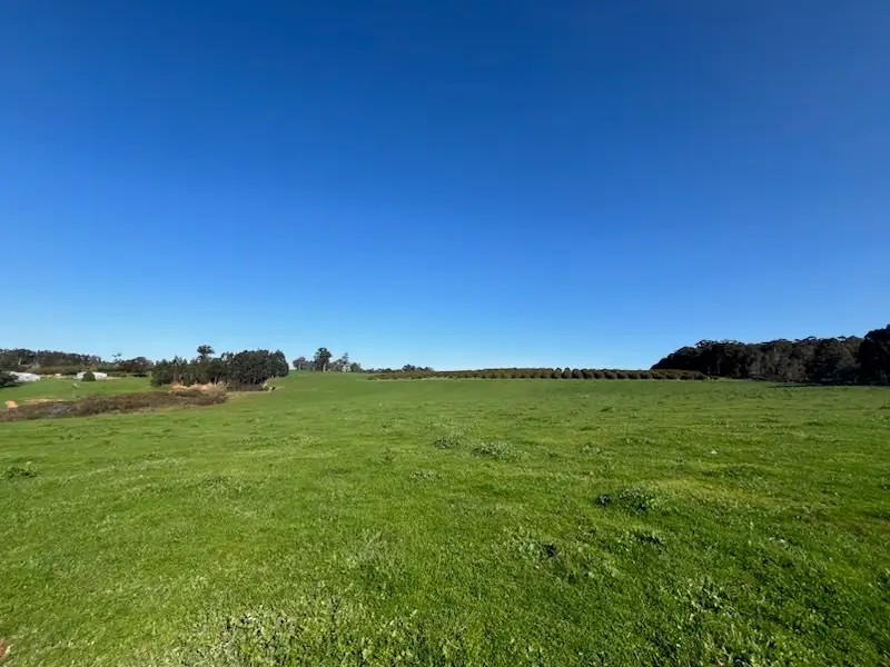 Main view of Homely rural property listing, Lot 500 Pipe Clay Gully Road, Manjimup WA 6258