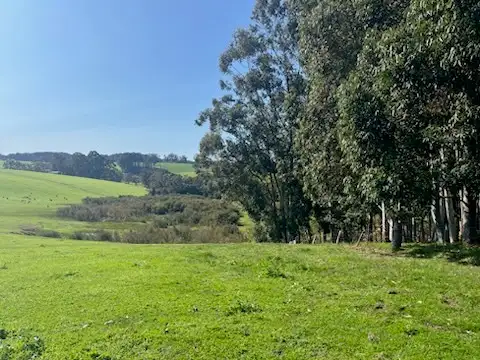 Fourth view of Homely rural property listing, Lot 500 Pipe Clay Gully Road, Manjimup WA 6258