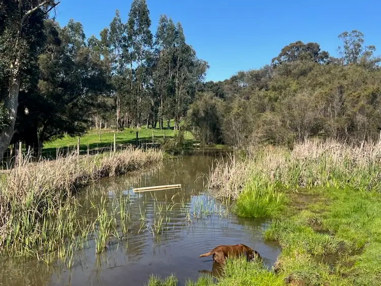 Seventh view of Homely rural property listing, Lot 500 Pipe Clay Gully Road, Manjimup WA 6258