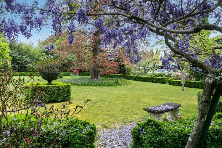 Fourth view of Homely house listing, 6 Armstrong Street, Wentworth Falls NSW 2782