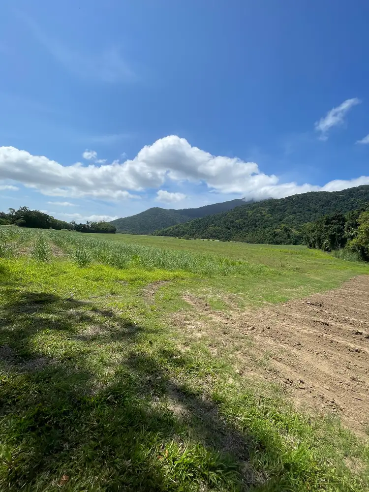 LOT 2 Dalton Road, Aloomba QLD 4871