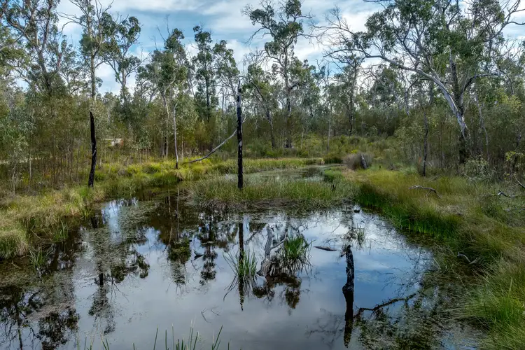 Seventh view of Homely rural property listing, 344 Meangora Road, Nerriga NSW 2622