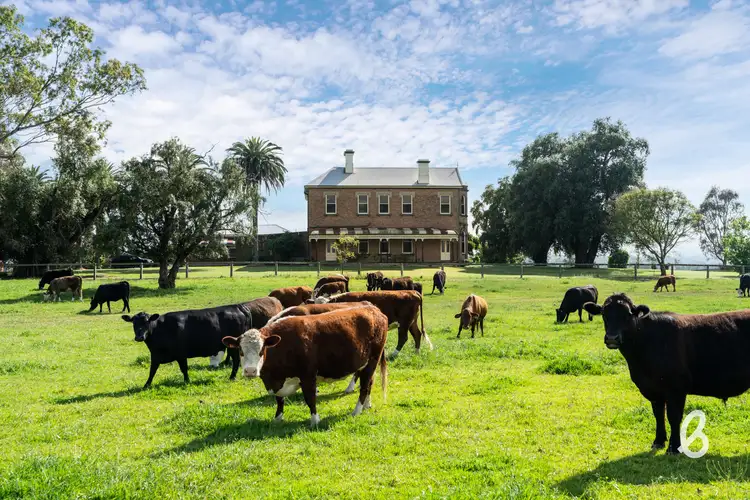 Sixth view of Homely rural property listing, 100 Greenwood Avenue, Singleton NSW 2330