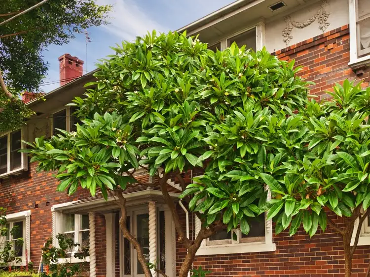 Sixth view of Homely apartment listing, 2/1 Porter Street, Bondi Junction NSW 2022