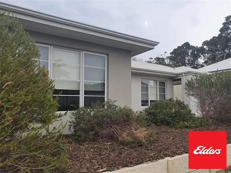 Main view of Homely unit listing, 25b Steere Crescent, Carey Park WA 6230