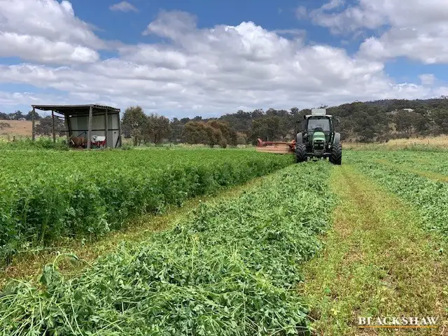 Fifth view of Homely rural property listing, 801 Ironmungie Road, Maffra NSW 2630