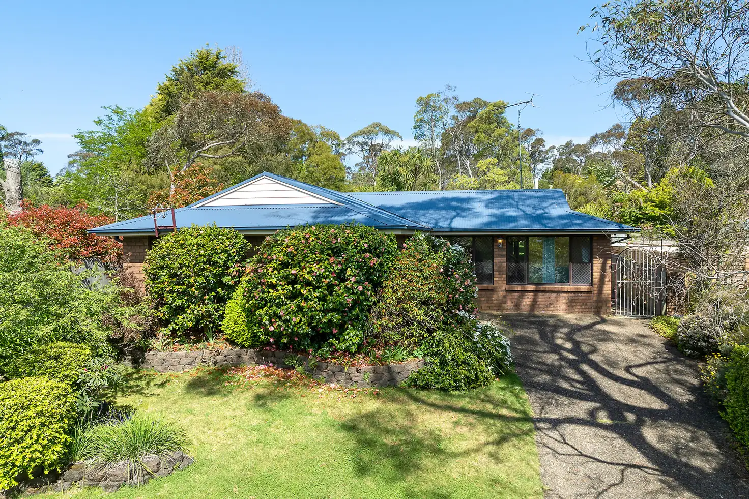 Main view of Homely house listing, 43 Mountbatten Street, Blackheath NSW 2785