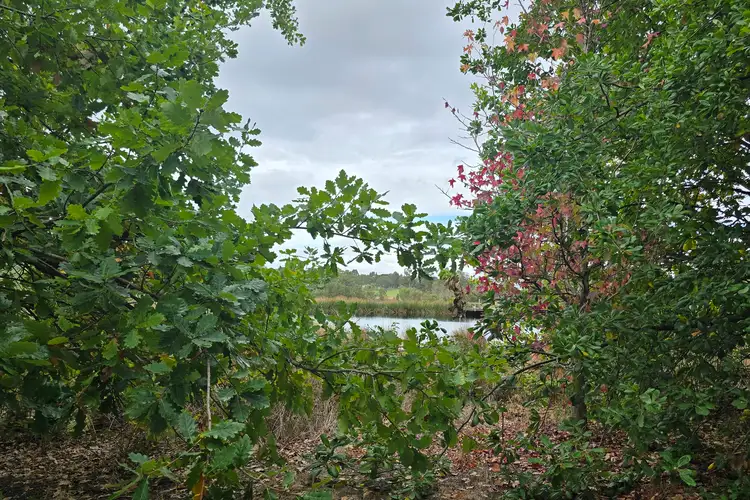 Second view of Homely rural property listing, 55 Ti -Tree Road, Garfield VIC 3814