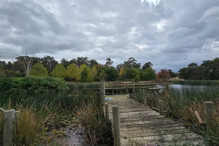 Third view of Homely rural property listing, 55 Ti -Tree Road, Garfield VIC 3814