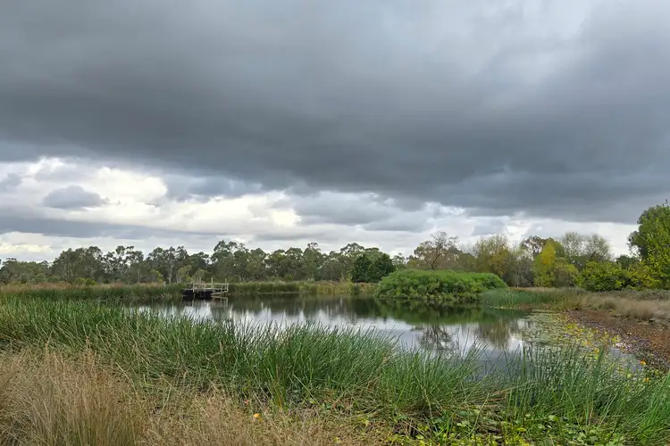 Fourth view of Homely rural property listing, 55 Ti -Tree Road, Garfield VIC 3814