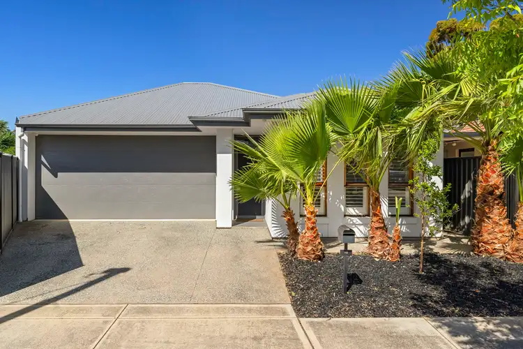 18 Clayton Avenue, Plympton SA 5038