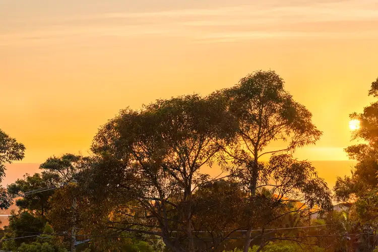 Second view of Homely house listing, 93 Elanora Road, Elanora Heights NSW 2101