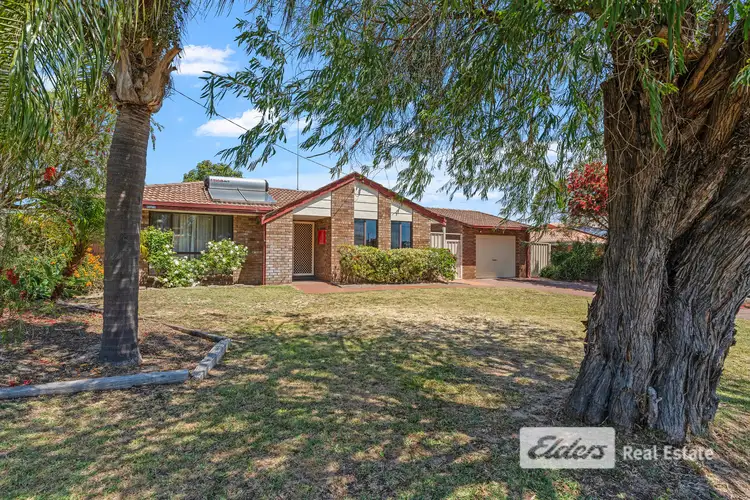 Main view of Homely house listing, 93 Hamilton Road, Eaton WA 6232