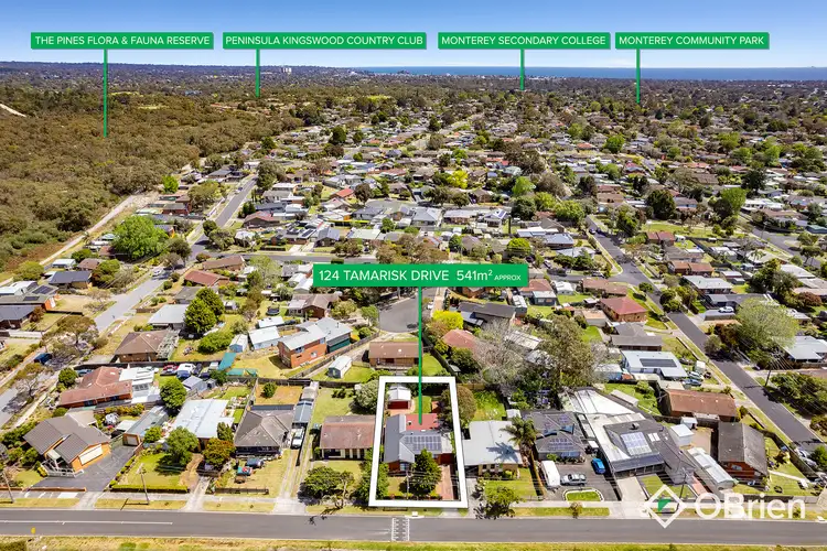 Fourth view of Homely house listing, 124 Tamarisk Drive, Frankston North VIC 3200