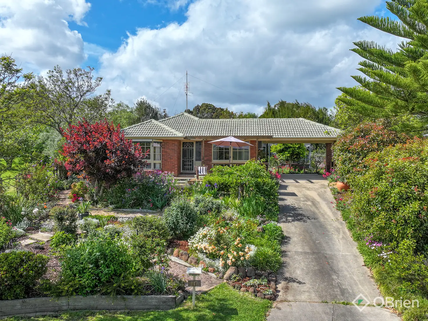 Main view of Homely house listing, 11 Llewelyn Court, Bairnsdale VIC 3875