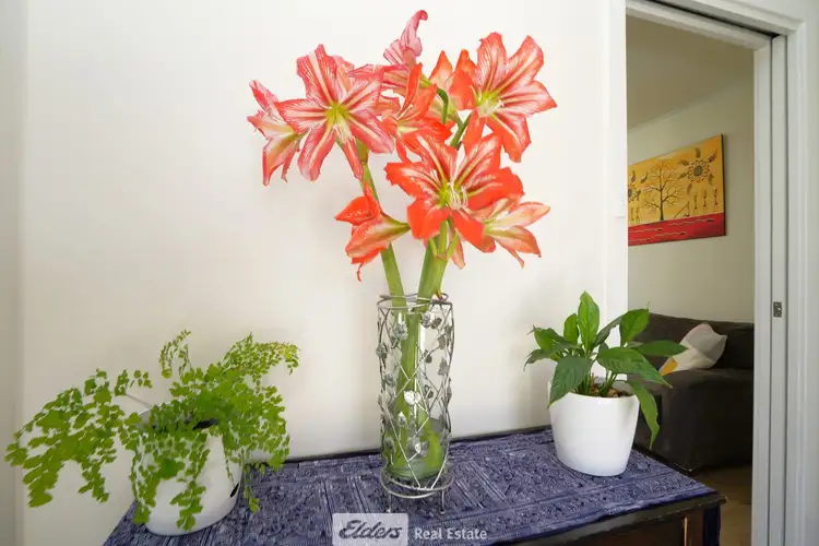 Third view of Homely house listing, 6 Mannell Place, Griffith NSW 2680