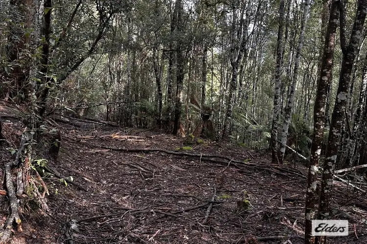 Gunns Plains Road, Gunns Plains TAS 7315