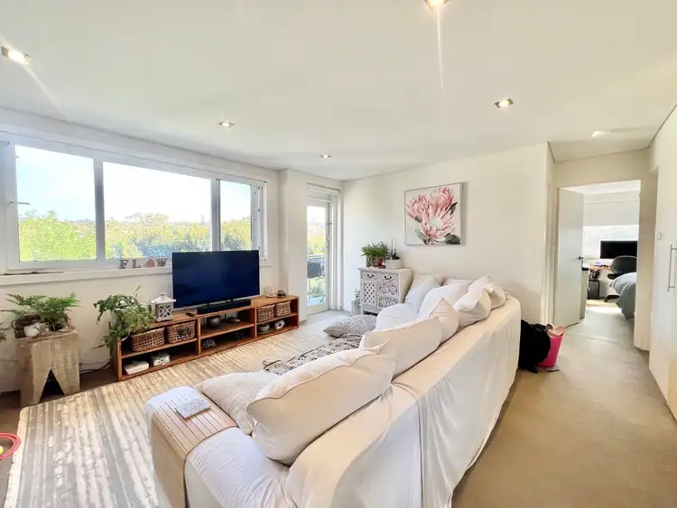 Second view of Homely apartment listing, 6/377a Clovelly Road, Clovelly NSW 2031