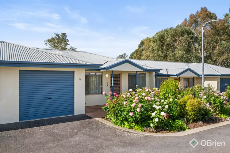 6/10 Harrison Street