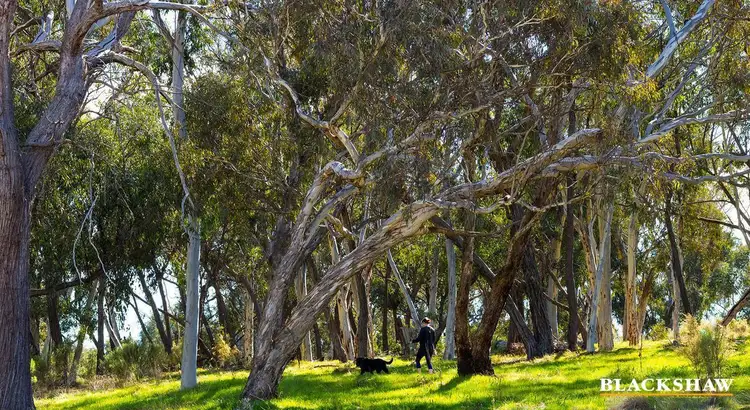 Sixth view of Homely apartment listing, 120/31 Thynne Street, Bruce ACT 2617