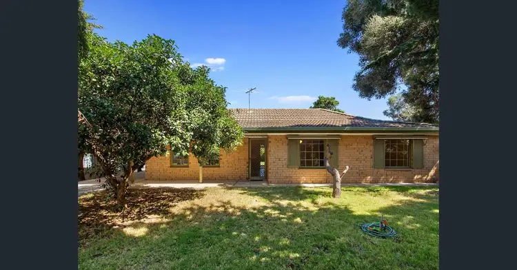 11 Bimbadene Road