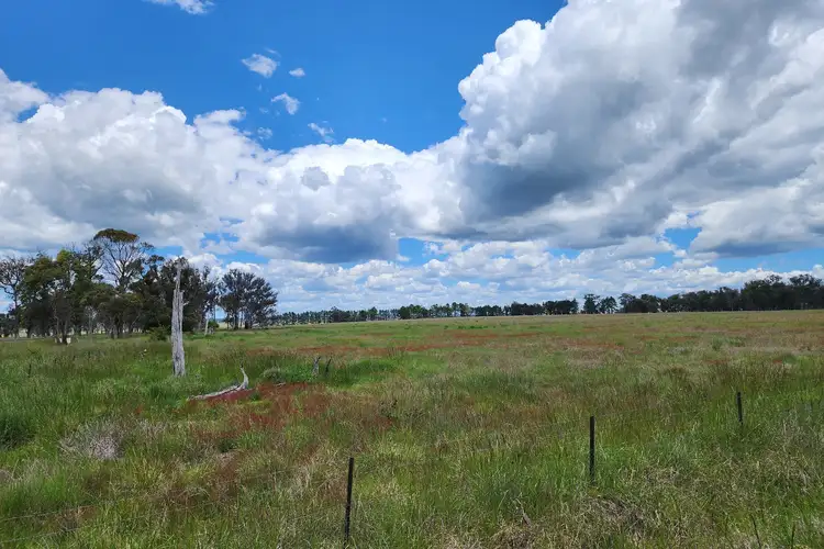Second view of Homely rural property listing, 369 Pinegrove Road, Armidale NSW 2350