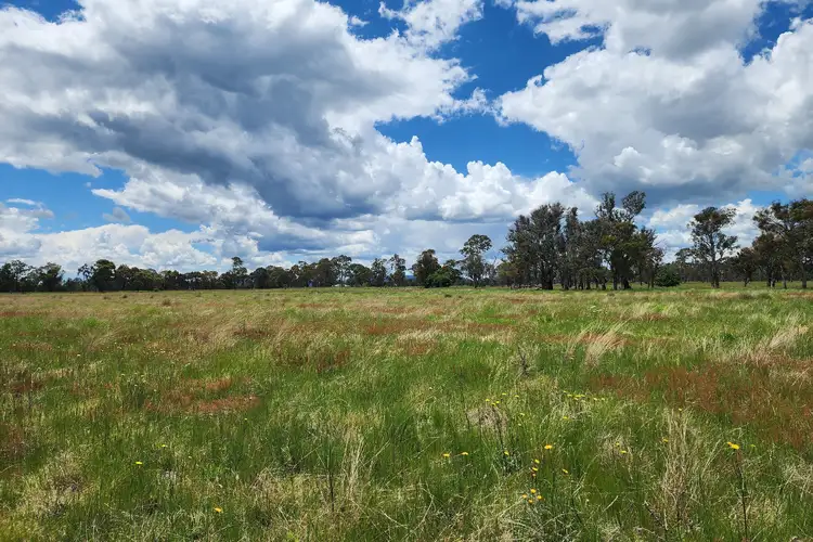 Third view of Homely rural property listing, 369 Pinegrove Road, Armidale NSW 2350