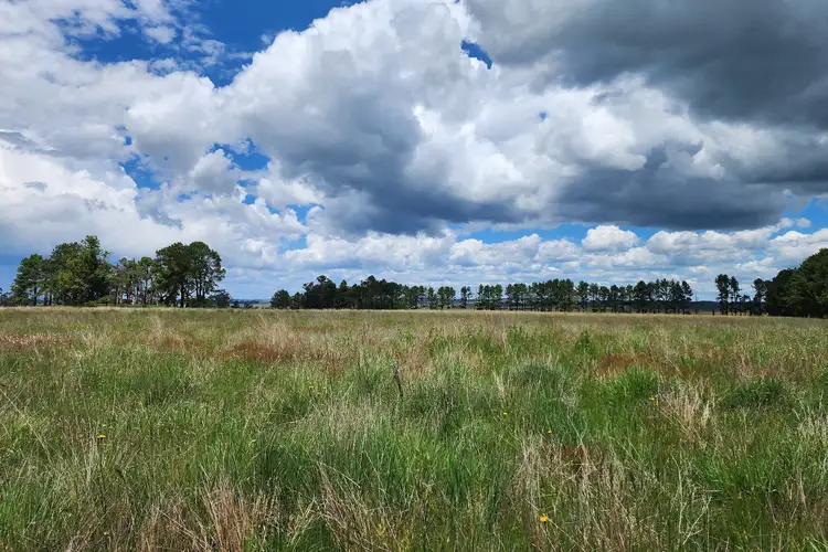 Fourth view of Homely rural property listing, 369 Pinegrove Road, Armidale NSW 2350