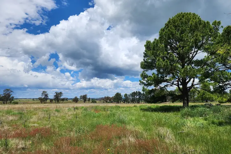 Sixth view of Homely rural property listing, 369 Pinegrove Road, Armidale NSW 2350