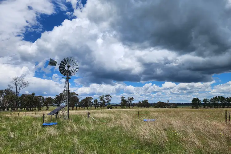Seventh view of Homely rural property listing, 369 Pinegrove Road, Armidale NSW 2350