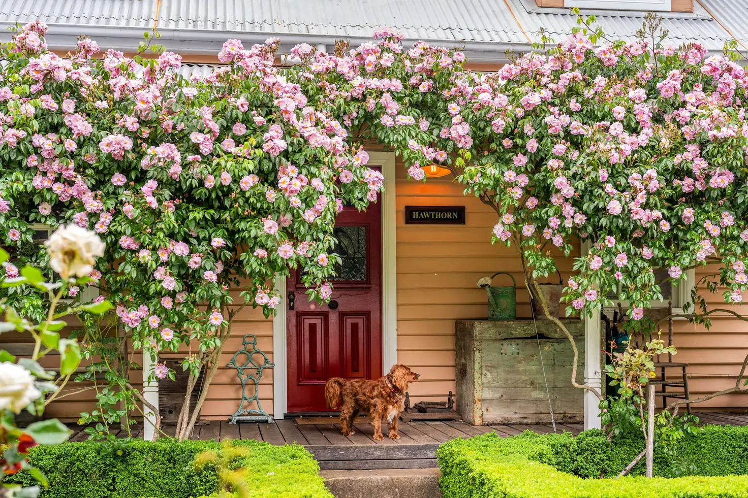 Main view of Homely house listing, 6-8 Crown Street, Burrawang NSW 2577