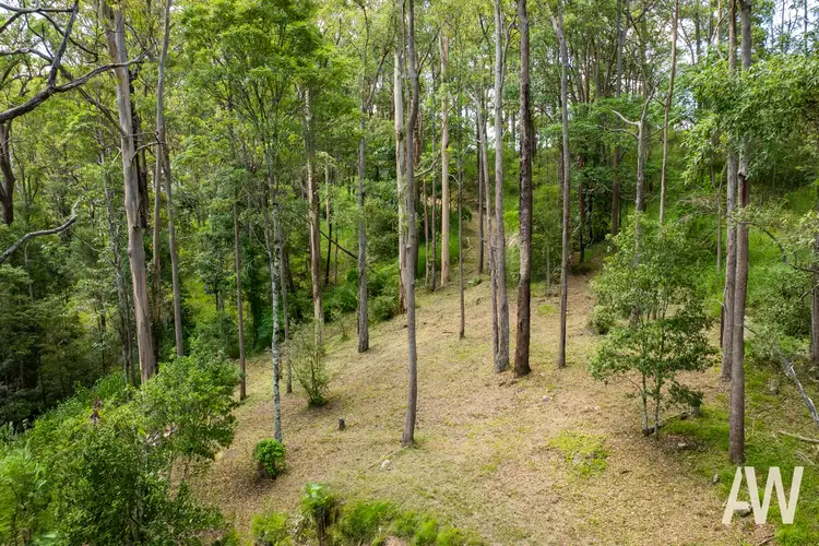 Third view of Homely land listing, 320 Hunchy Road, Hunchy QLD 4555