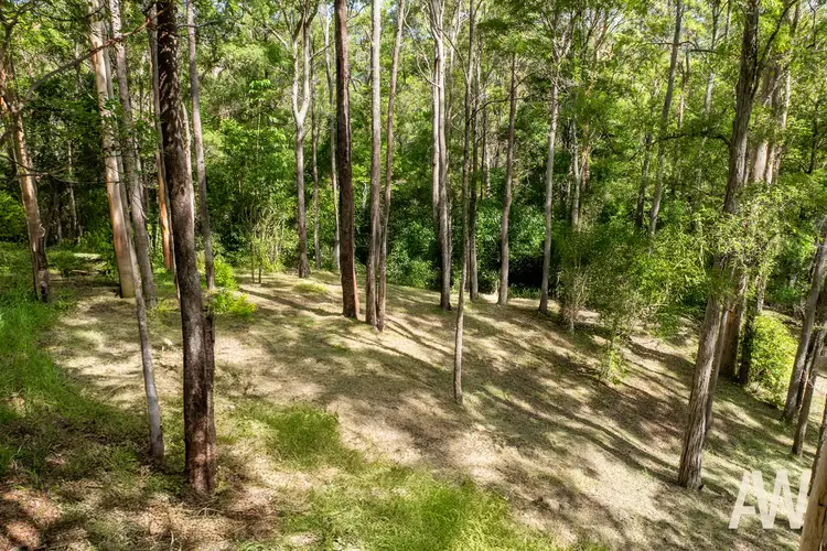 Seventh view of Homely land listing, 320 Hunchy Road, Hunchy QLD 4555