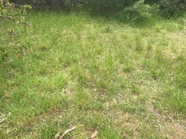 Third view of Homely land listing, 3 Margaret Avenue, Venus Bay VIC 3956