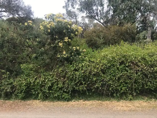 Fifth view of Homely land listing, 3 Margaret Avenue, Venus Bay VIC 3956