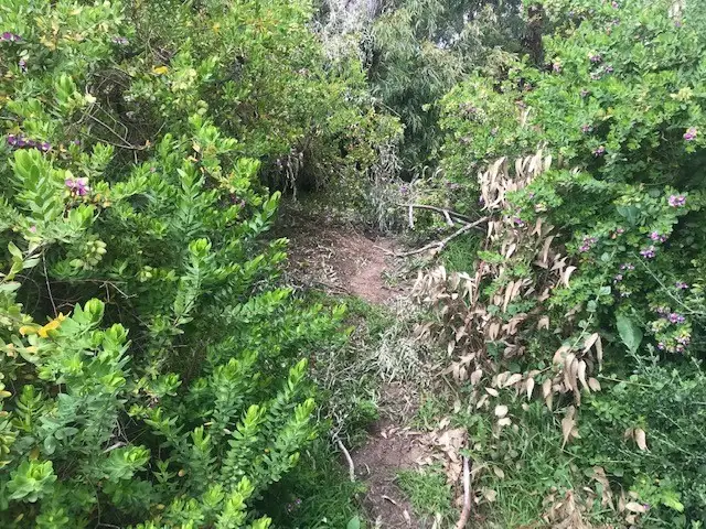 Sixth view of Homely land listing, 3 Margaret Avenue, Venus Bay VIC 3956