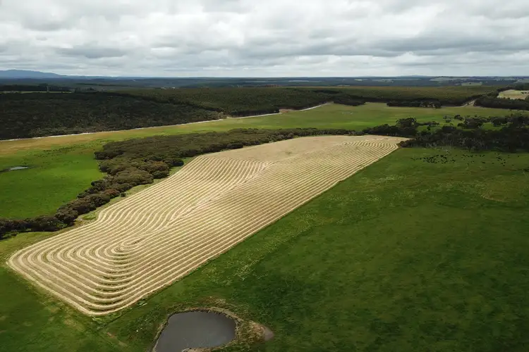 Fourth view of Homely rural property listing, 551 Hazzard Road, Green Valley WA 6330
