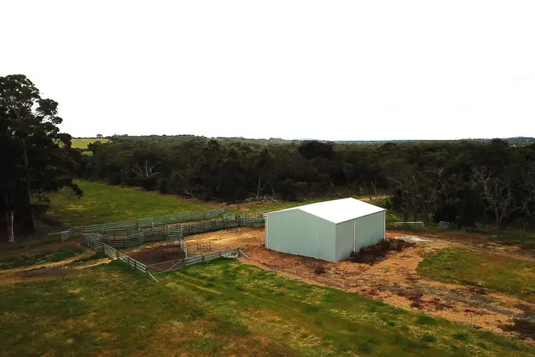 Sixth view of Homely rural property listing, 551 Hazzard Road, Green Valley WA 6330