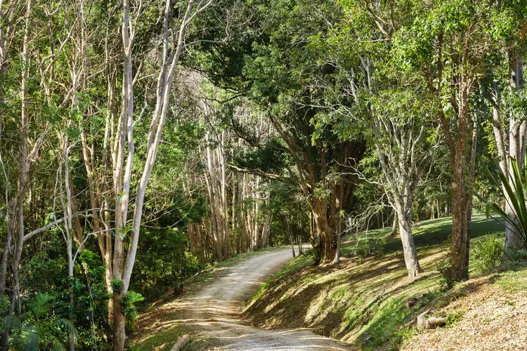 Sixth view of Homely rural property listing, 89 Hattons Road, Eviron NSW 2484