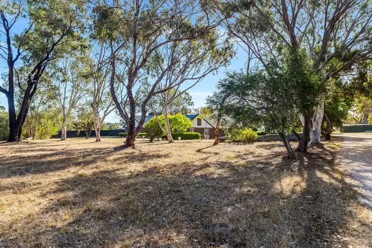 Third view of Homely rural property listing, 146 Precolumb Road, One Tree Hill SA 5114