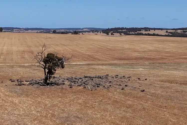 Fourth view of Homely rural property listing, Lot 4 Chittleborough Road, Brookton WA 6306