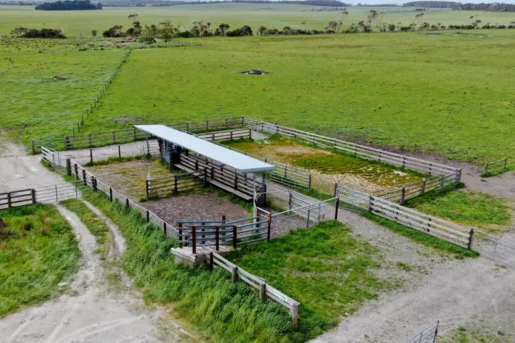 Third view of Homely rural property listing, 55 Murrays Road, Buffalo VIC 3958