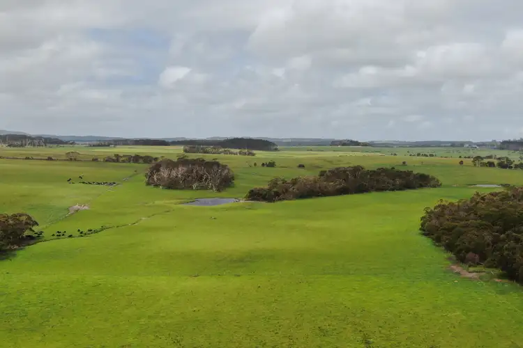 Sixth view of Homely rural property listing, 55 Murrays Road, Buffalo VIC 3958